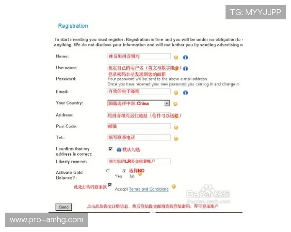 皇冠澳门域名注册流程详解助你快速掌握澳门皇冠域名购买技巧