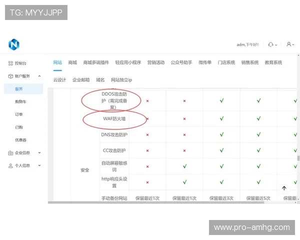 皇冠网页版安全保障措施全面，保障玩家账号信息安全与资金安全
