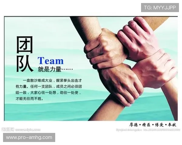 皇冠有限公司：领导团队介绍及企业文化建设对企业稳健发展的关键作用