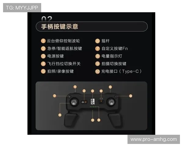 皇冠盘滚球角的基本规则与操作流程说明，入门玩家必看指南