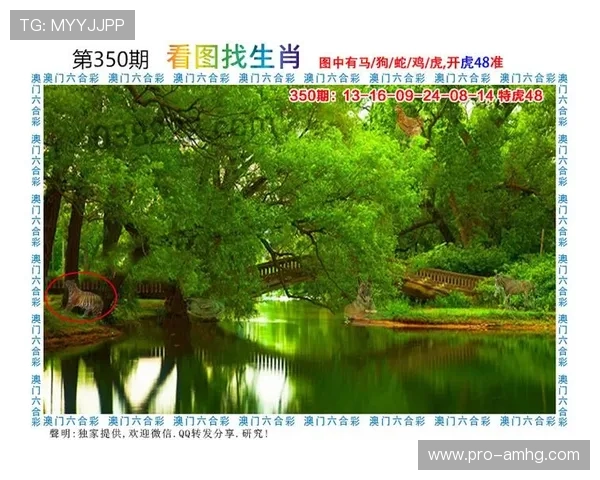 澳门财神客户端最新版本下载,安全稳定的游戏体验推荐 澳门财神客户端最新版本下载,安全稳定的游戏体验推荐